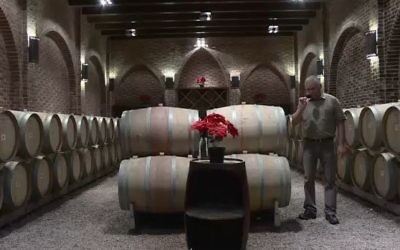 Le vignoble égyptien Kouroum of the Nile, en novembre 2016. (Crédit : capture d'écran AFP)