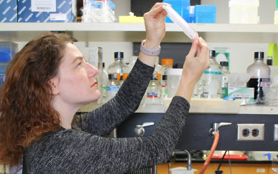 Joanna Slusky, professeur de biosciences moléculaires et de biologie informatique à l'Université du Kansas au travail dans son laboratoire. (Crédit :  Sarah Mullinax/via JTA)