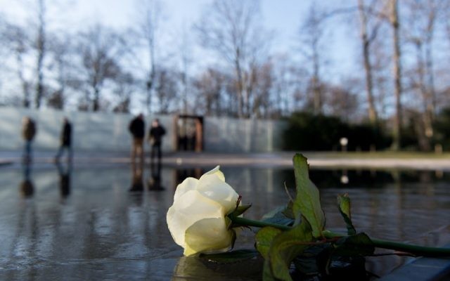 Une rose blanche déposée au mémorial de Berlin lors d'une cérémonie de commémoration du 27 janvier 2017, journée internationale du souvenir de l'Holocauste. (Crédit : AFP /dpa / Monika Skolimowska / Allemagne OUT)