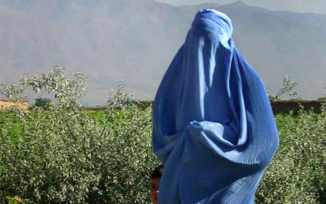 Illustration d'une Afghane portant une burqa en 2005 (Crédit : CC BY-SA 2.0) Illustration d'une Afghane portant une burqa en 2005 (Crédit : CC BY-SA 2.0)