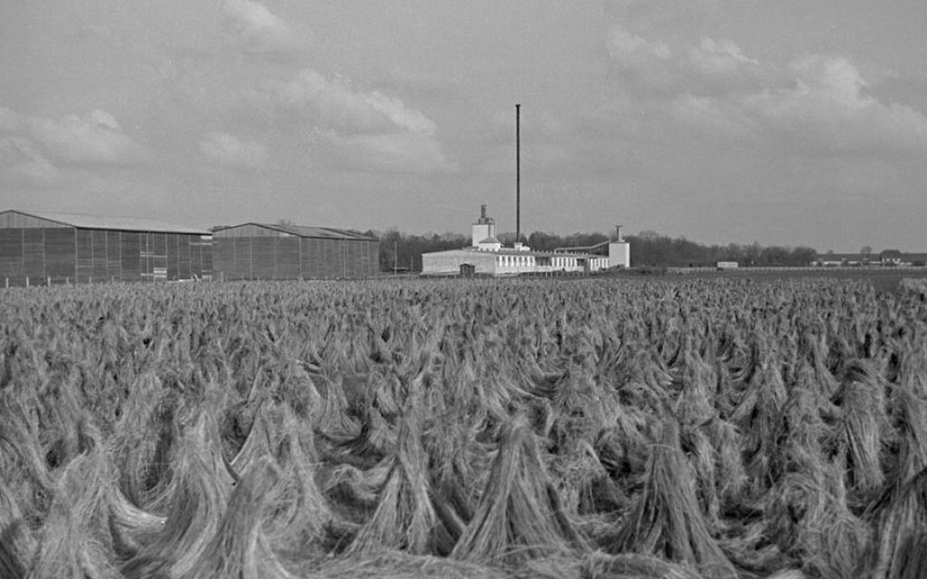 Le champ de lin d'Unterschleissheim, tel qu'il apparaissant durant l'Holocauste (Crédit :Peter Vahlensieck)