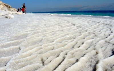 Saline sur les côtes de la mer Morte, le 11 janvier 2017. (Crédit : Melanie Lidman/Times of Israël)