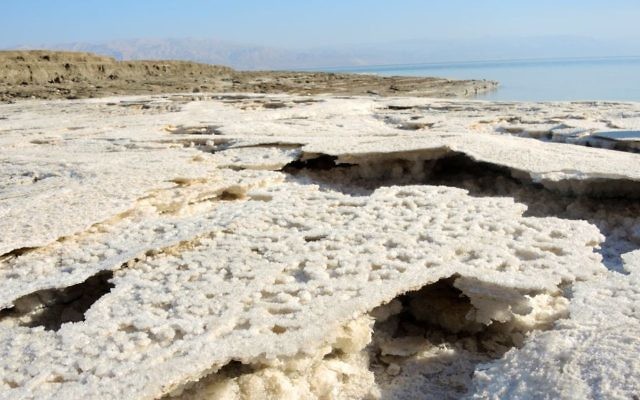 Le littoral en recul laisse une fine croûte de sel alors que le niveau de la mer Morte baisse de plus d'un mètre par an, comme dans cette zone photographiée le 11 janvier 2017. (Crédit : Melanie Lidman/Times of Israël) Le littoral en recul laisse une fine croûte de sel alors que le niveau de la mer Morte baisse de plus d'un mètre par an, comme dans cette zone photographiée le 11 janvier 2017. (Crédit : Melanie Lidman/Times of Israël)