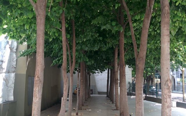 La place Embajada de Israel de Buenos Aires, où se situait l'ancienne ambassade d'Israël en Argentine. (Crédit : Ilan Ben Zion/Times of Israël) La place Embajada de Israel de Buenos Aires, où se situait l'ancienne ambassade d'Israël en Argentine. (Crédit : Ilan Ben Zion/Times of Israël)