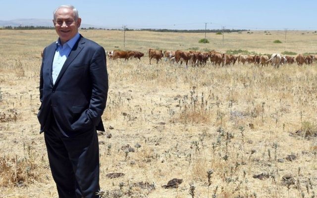 Le Premier ministre Benjamin Netanyahu, au cours d'une visite réalisée sur le plateau du Golan le 6 juin 2017 (Crédit : Haim Zach/GPO)