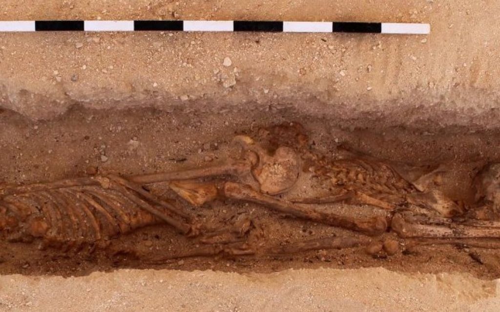 Deux squelettes d'enfants avec leurs têtes à des extrémités opposées au cimetière des Tombes du Nord, au site d'Amarna en Egypte (Crédit : Mary Shepperson / Autorisation du projet Amarna)