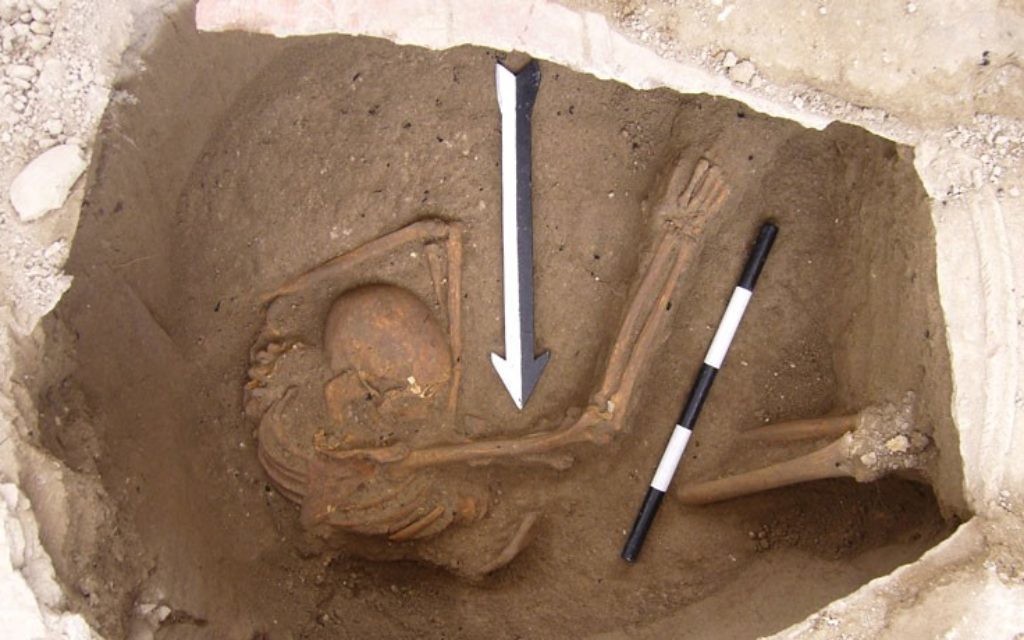 La dépouille d'un individu analysée durant l'étude sur les Cananéens, datant d'environ 1600 ans avant l'ère commune (Crédit : Dr. Claude Doumet-Serhal/Wellcome Trust Sanger Institute)