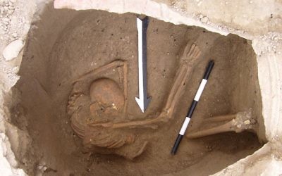 La dépouille d'un individu analysée durant l'étude sur les Cananéens, datant d'environ 1600 ans avant l'ère commune (Crédit : Dr. Claude Doumet-Serhal/Wellcome Trust Sanger Institute)