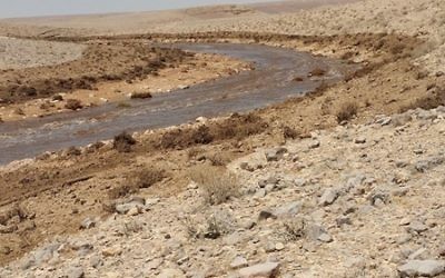Le cours d'eau boueux d'Ashalim après la fuite de déchets toxiques depuis une usine d'engrais, le 30 juin 2017. (Crédit : ministère de l'Environnement)