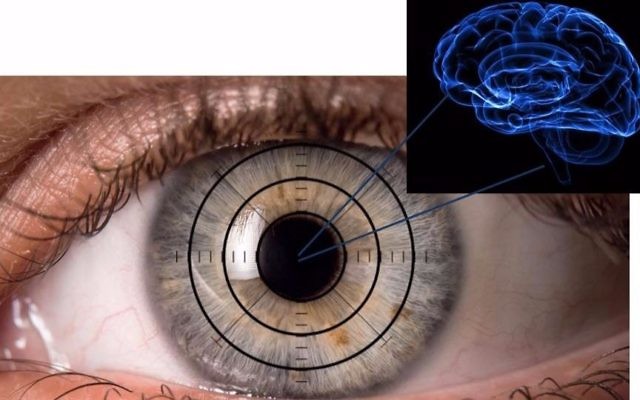 L'œil est comme une fenêtre de notre cerveau. L'équipe médicale de Sheba cherche les signes de la maladie d'Alzheimer dans nos yeux (Crédit : Autorisation Ifat Sher) L'œil est comme une fenêtre de notre cerveau. L'équipe médicale de Sheba cherche les signes de la maladie d'Alzheimer dans nos yeux (Crédit : Autorisation Ifat Sher)