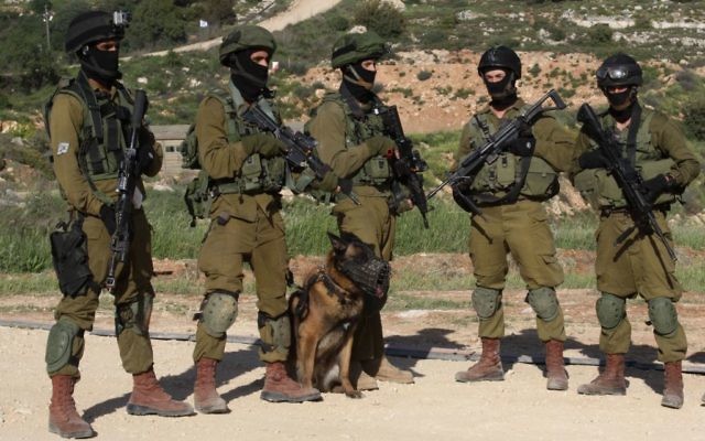 Soldats israéliens avec un chien militaire formé pendant un exercice, le 2 avril 2014. (Crédit : Gershon Elinson/Flash90) Soldats israéliens avec un chien militaire formé pendant un exercice, le 2 avril 2014. (Crédit : Gershon Elinson/Flash90)