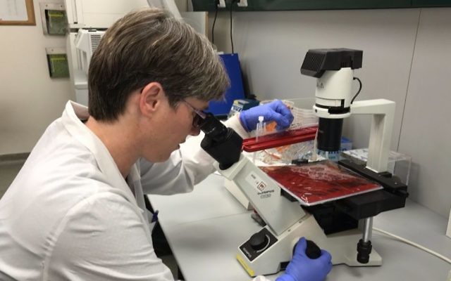 La directrice de laboratoire de Gamida Cell, Noga Goudsmid-Rosenheimer au travail, le 16 juillet 2017 (Crédit : Shoshanna Salomon / Times of Israel)