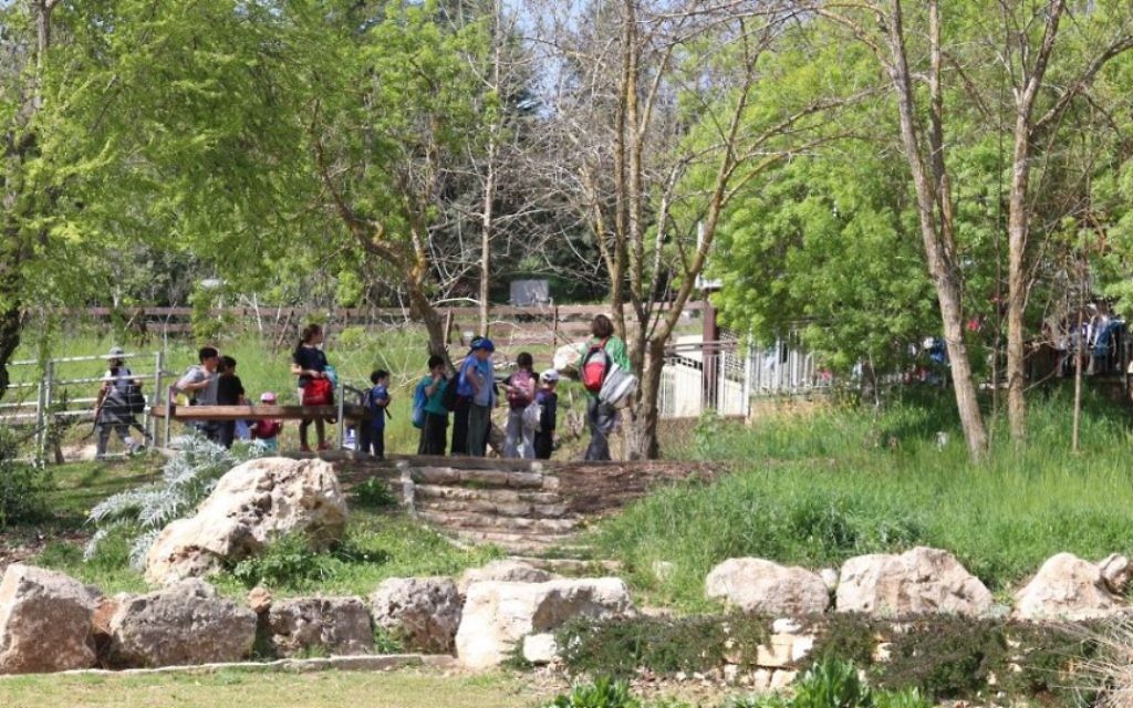 Près de 92 % d'Israéliens sont des citadins, les jardins œuvrent pour les reconnecter à la flore du pays. (Crédit : Shmuel Bar-Am)