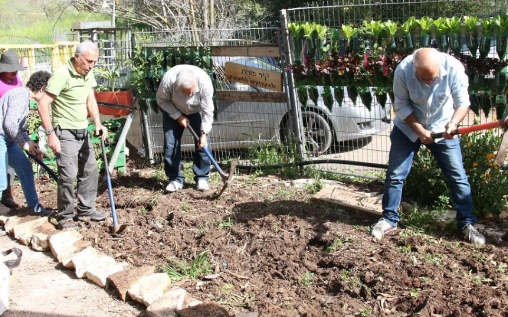 Le club des bénévoles du jardin étudient et travaillent pour des projets deux fois par semaine. (Crédit : Shmuel Bar-Am)