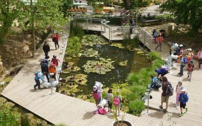 Le Parcours Découverte (Discovery Trail) est un endroit du Jardin Botanique destiné aux enfants. (Crédit :(Judith Magnes)