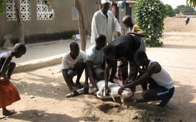 Abattage rituel d'un mouton pour la fête musulmane de l'Aïd al-Adha, au Sénégal. Illustration. (Crédit : Dorothy Voorhees/CC BY-SA 2.0/WikiCommons)