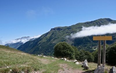 Un sentier de randonnée dans les Pyrénées. Illustration. (Crédit : Myrabella/CC BY-SA 3.0/Wikimedia Commons)