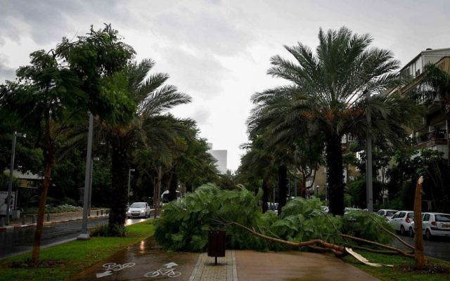 Le boulevard Rothschild de Tel Aviv après un orage, en octobre 2015. Illustration. (Crédit : Ben Kelmer/Flash90) Le boulevard Rothschild de Tel Aviv après un orage, en octobre 2015. Illustration. (Crédit : Ben Kelmer/Flash90)