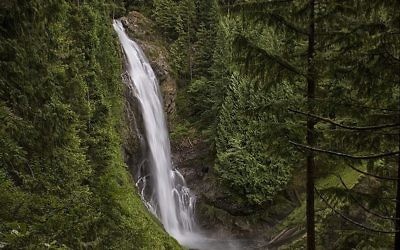 Le parc de Wallace Falls, dans l'état de Washington, le 3 juillet 2014. Illustration. (Crédit :  Steven Pavlov/CC BY-SA/Wikimedia commons)