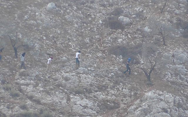 Des habitants d'implantations israéliennes pris en photo en train d'arracher des oliviers à proximité du village de Kalil, le 15 septembre 2017 (Autorisation : Courtesy: Yesh Din) Des habitants d'implantations israéliennes pris en photo en train d'arracher des oliviers à proximité du village de Kalil, le 15 septembre 2017 (Autorisation : Courtesy: Yesh Din)