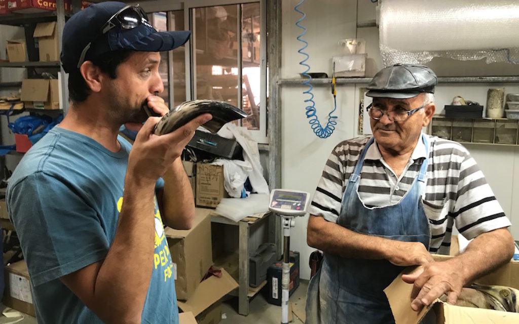 Dror Yoggev souffle dans un shofar sous le regard de Shimon Keinan à l'usine Kol Shofar de Givat Yoav, sur le plateau du Golan, le 6 septembre 2017 (Crédit : Andrew Tobin)