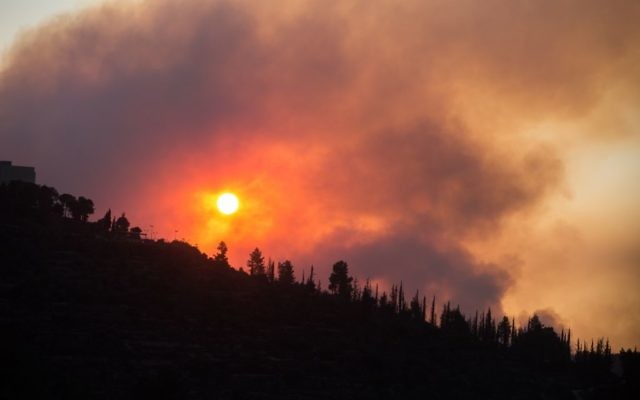 La fumée s'élève d'un grand feu de forêt dans la région de Sataf à l'extérieur de Jérusalem, le 26 octobre 2017 (Crédit : Hadas Parush / Flash90) La fumée s'élève d'un grand feu de forêt dans la région de Sataf à l'extérieur de Jérusalem, le 26 octobre 2017 (Crédit : Hadas Parush / Flash90)
