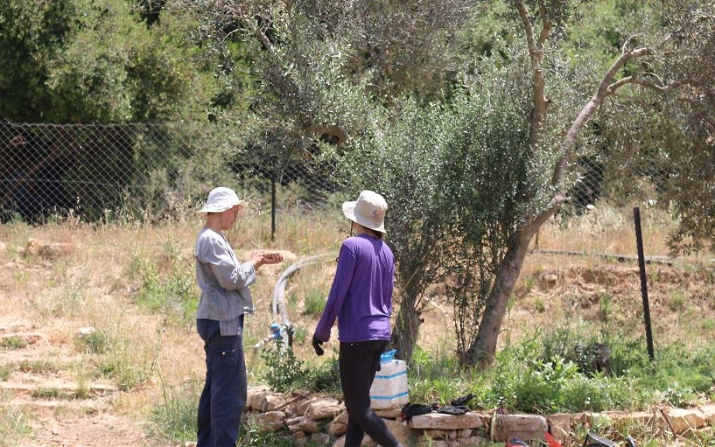 La ferme Kaima proche de Jérusalem. (Crédit : Shmuel Bar-Am)