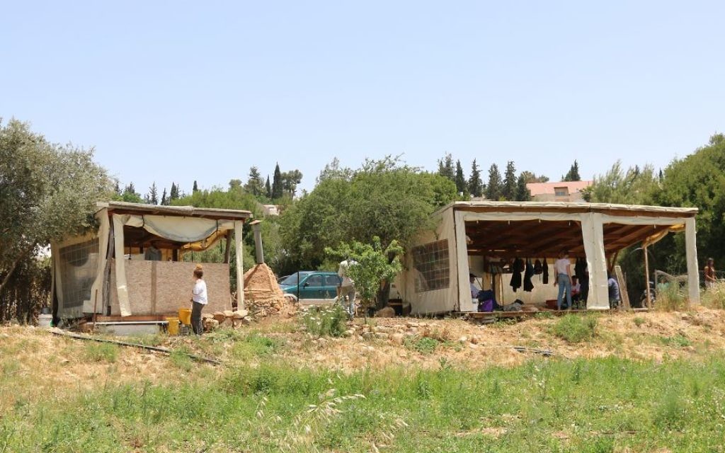 La ferme Kaima s'inscrit dans l'agriculture soutenue par la communauté, un système qui lie les fermiers aux consommateurs qui achètent leurs produits de saison. (Crédit : Shmuel Bar-Am)