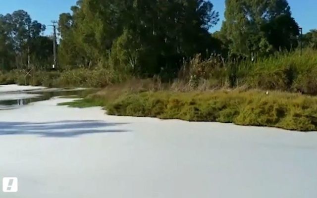 Mousse blanche sur le fleuve Yarkon à Tel Aviv, le 10 octobre 2017 (Capture d'écran : Walla! ) Mousse blanche sur le fleuve Yarkon à Tel Aviv, le 10 octobre 2017 (Capture d'écran : Walla! )