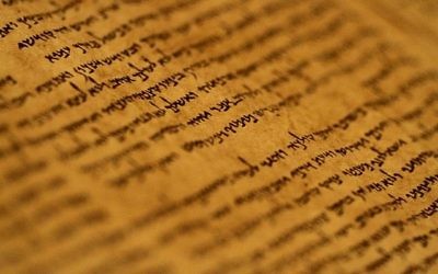 Un manuscrit de la collection des manuscrits de la mer Morte exposé au Musée d'Israël à Jérusalem le 26 septembre 2011 (Miriam Alster / Flash90)
