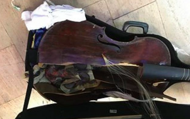 La viole de Myrna Herzog (Crédit : Facebook)