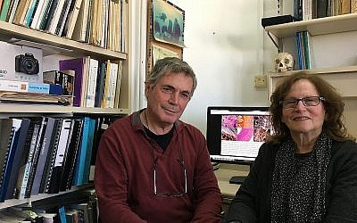 Le professeur de l'université de Tel Aviv Israel Hershkovitz , à gauche, et la professeure de l'université de Haïfa  Mina Weinstein-Evron. (Autorisation)