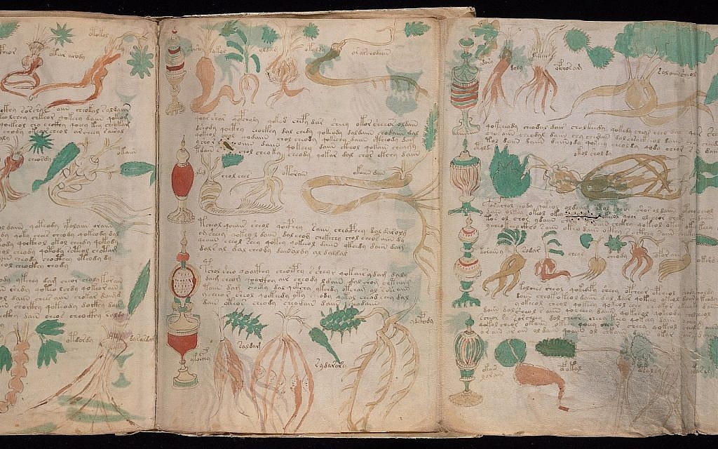 Pages extraites de MS 408 de Neinecke, ou manuscrit de Voynich. (Crédit : bibliothèque des livres et manuscrits rares Beinecke)