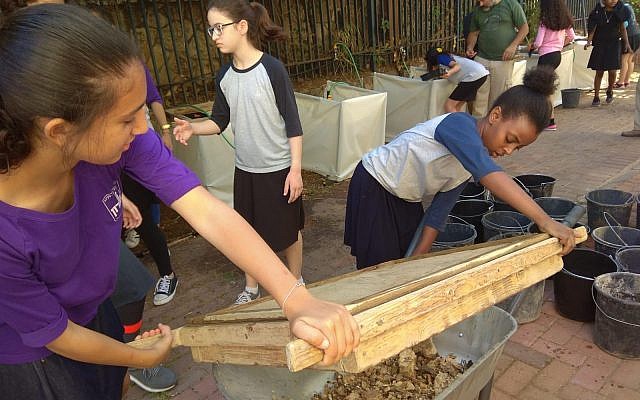 De la terre du mont du Temple criblée dans la ville de Petach Tikva par les élèves du lycée Yeshurun (Crédit : Inbal Dasberg/Projet de criblage du mont du Temple) De la terre du mont du Temple criblée dans la ville de Petach Tikva par les élèves du lycée Yeshurun (Crédit : Inbal Dasberg/Projet de criblage du mont du Temple)