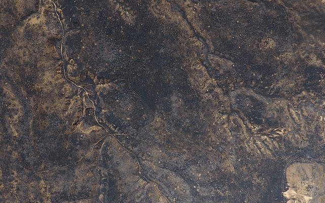 Les images de drone montrent les destructions massives causées par les cerfs-volants incendiaires dans la réserve naturelle de Beeri, adjacente à Gaza. (Crédit : DRONEIMAGEBANK)