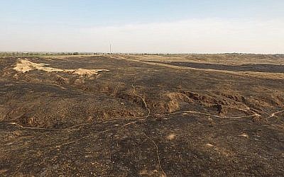 Les images de drone montrent les destructions massives causées par les cerfs-volants incendiaires dans la réserve naturelle de Beeri, adjacente à Gaza. (Crédit : DRONEIMAGEBANK)