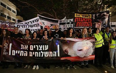 Des manifestants à Tel Aviv contre les envois vivants d'animaux destinés à l'engraissement et à l'abattage en Israël, le 28 avril 2018. (Adi Avikzer)