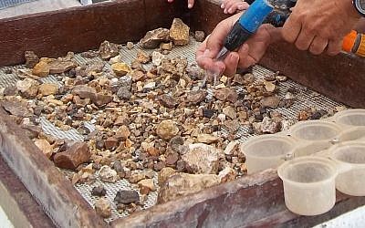 Les bénévoles du projet de criblage du mont du Temple tentent de découvrir des artefacts archéologiques (Crédit : Projet de criblage du mont du Temple) Les bénévoles du projet de criblage du mont du Temple tentent de découvrir des artefacts archéologiques (Crédit : Projet de criblage du mont du Temple)