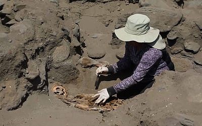 Les dépouilles des enfants sacrifiés à l'époque de la civilisation Chimu vont être exposés dans un musée au Pérou. (Crédit : AFP TV)