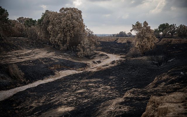 Vue des terres brûlées autour du torrent Besor à Tel Gama, près de la frontière avec la bande de Gaza, le 28 juin 2018. (Hadas Parush/Flash90) Vue des terres brûlées autour du torrent Besor à Tel Gama, près de la frontière avec la bande de Gaza, le 28 juin 2018. (Hadas Parush/Flash90)