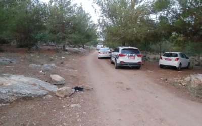 Des enquêteurs de la police dans la forêt de Modiin le vendredi 1er juin 2018, sur le site où le corps du diamantaire Boris Botashvilli a été retrouvé dans ce que les autorités considèrent comme un meurtre présumé. (Police d'Israël)
