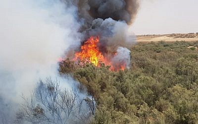 Un incendie près du kibboutz Reim, à l'est de la frontière avec Gaza, le 25 juillet 2018 (Autorisation : Services des incendies et des secours, district du sud)