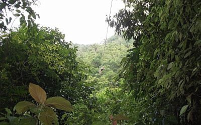 Une tyrolienne au Honduras (Photo d'illustration : Wes/Pexels)