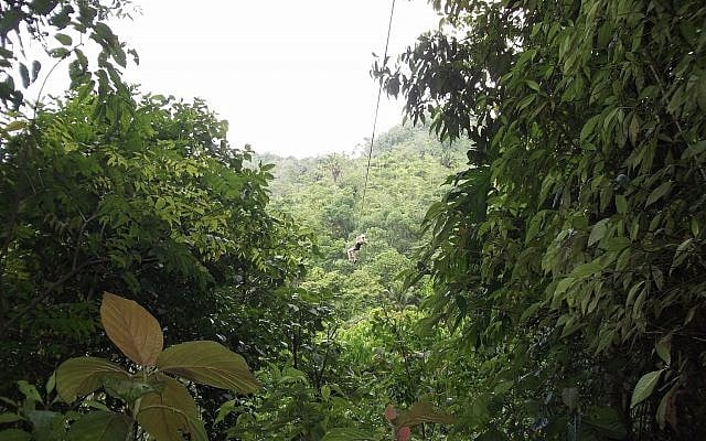 Une tyrolienne au Honduras (Photo d'illustration : Wes/Pexels)