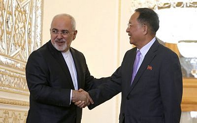 Le ministre iranien des affaires étrangères Mohammad Javad Zarif, à gauche, et son homologue nord-coréen Ri Yong Ho durant une réunion à Téhéran, le 7 août 2018 (Crédit : / AFP PHOTO / ATTA KENARE)