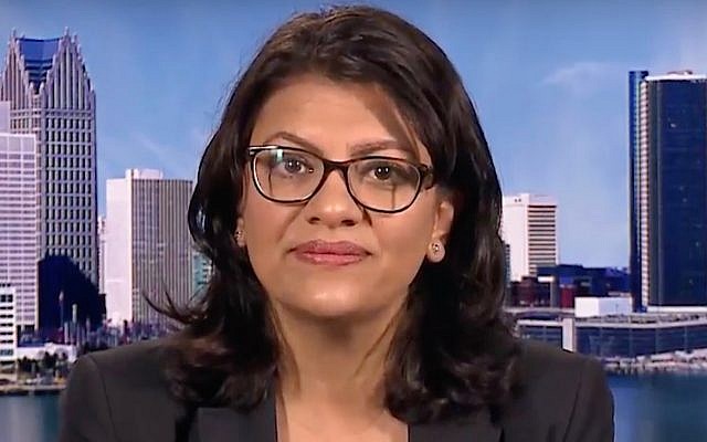 Rashida Tlaib, une démocrate du Michigan qui court pour la Chambre des représentants américaine, interviewée par Democracy Now! le 16 août 2018. (Capture d'écran: YouTube) Rashida Tlaib, une démocrate du Michigan qui court pour la Chambre des représentants américaine, interviewée par Democracy Now! le 16 août 2018. (Capture d'écran: YouTube)