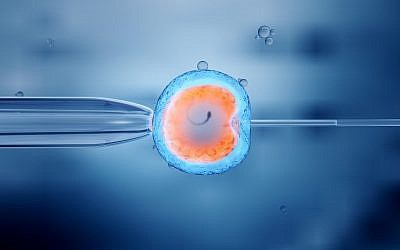 Fécondation in-vitro d'un ovule (Crédit :   iStock by Getty Images/ man_at_mouse)