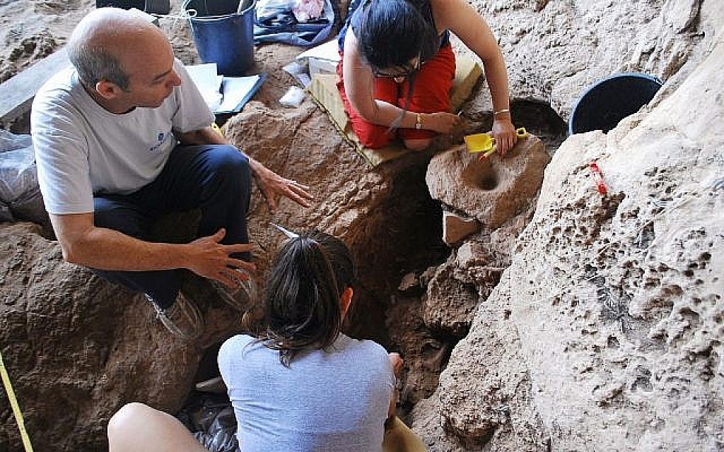 Fouilles archéologiques à la grotte de  Raqefet où une brasserie vieille de 13 000 ans a été découverte, au mois d'août 2018 (Crédit : Dani Nadel, Université de Haïfa)