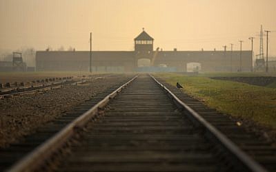 Les rails de chemin de fer menant aux "portes de la mort" de triste mémoire au camp d'extermination d'Auschwitz-Birkenau, le 13 novembre 2014 à Oswiecim, en Pologne (Crédit : Christopher Furlong/Getty Images/via JTA)