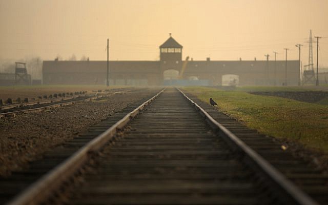 Les rails de chemin de fer menant aux "portes de la mort" de triste mémoire au camp d'extermination d'Auschwitz-Birkenau, le 13 novembre 2014 à Oswiecim, en Pologne (Crédit : Christopher Furlong/Getty Images/via JTA) Les rails de chemin de fer menant aux "portes de la mort" de triste mémoire au camp d'extermination d'Auschwitz-Birkenau, le 13 novembre 2014 à Oswiecim, en Pologne (Crédit : Christopher Furlong/Getty Images/via JTA)